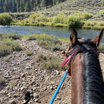 Piping Rock Horses - Horseback Riding Near Me - Truckee, California Piping Rock Horses - Horseback Riding Near Me - Truckee, California