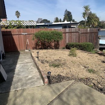 Ramces Tree Services - Another very large tree occupied this place. Stump and roots removed. - Tree Services Near Me
