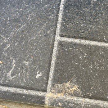 Rustic Rook Resort - Filthy floor with animal droppings. - Campgrounds Near Me - Mosca, Colorado Rustic Rook Resort - Filthy floor with animal droppings. - Campgrounds Near Me - Mosca, Colorado