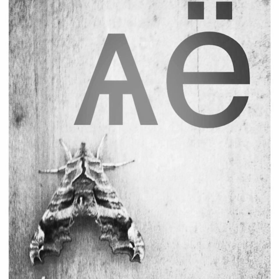 AGATE ELECTROLYSIS Updated July 2024 263 W Main St, Loudonville