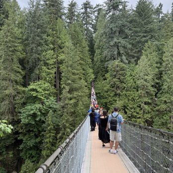 Capilano Suspension Bridge Park - Parks Near Me - North Vancouver, British Columbia