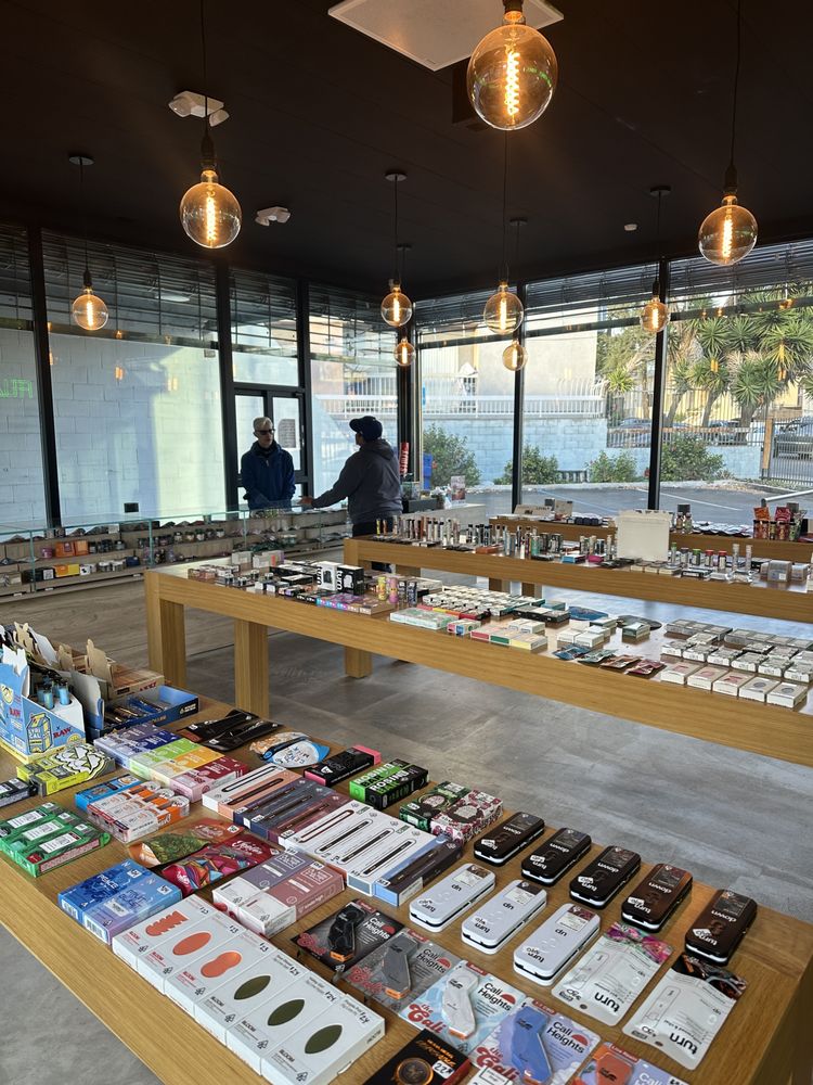 TREES HOLLYWOOD Updated October 2024 10 Photos & 14 Reviews 1503