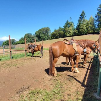 Wente Scout Reservation - Corral - Arts & Entertainment Near Me - Willits, California
