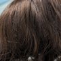 Photo of Terrys Wigs