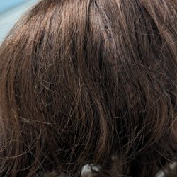 Terrys Wigs