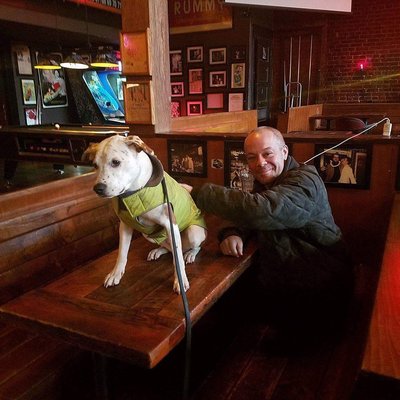 Comet Tavern by null