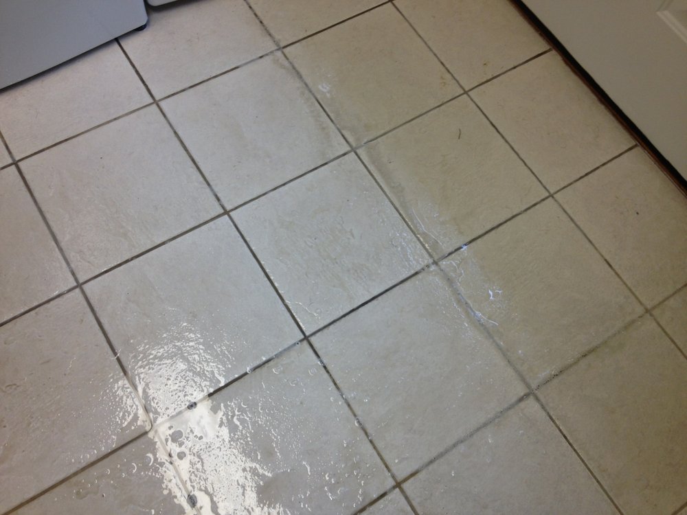 KING OF KINGS CARPET CLEANING Updated October 2024 17 Photos 4555