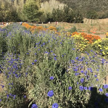 Riley's Farm - Fruits & Veggies Near Me - Oak Glen, California Riley's Farm - Fruits & Veggies Near Me - Oak Glen, California