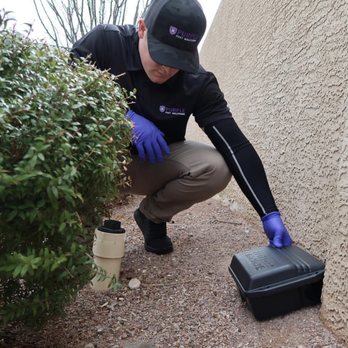Purple Pest Solutions - We will place bait stations around your property to keep the mice and rats away - Pest Control Near Me Purple Pest Solutions - We will place bait stations around your property to keep the mice and rats away - Pest Control Near Me