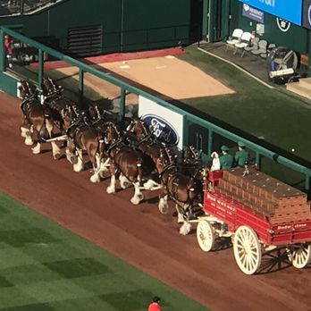 Busch Stadium - Stadiums & Arenas Near Me - Saint Louis, Missouri Busch Stadium - Stadiums & Arenas Near Me - Saint Louis, Missouri