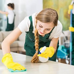 Mini Maid - We pay attention to detail!