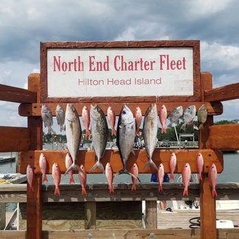 Tallboy Fishing Charters - Maxed out on Vermilion and Amberjack - Fishing Near Me - Port Royal, South Carolina Tallboy Fishing Charters - Maxed out on Vermilion and Amberjack - Fishing Near Me - Port Royal, South Carolina