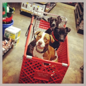 Coastal Farm & Ranch - Pets are always welcome at our stores! - Department Stores Near Me - Albany, Oregon Coastal Farm & Ranch - Pets are always welcome at our stores! - Department Stores Near Me - Albany, Oregon