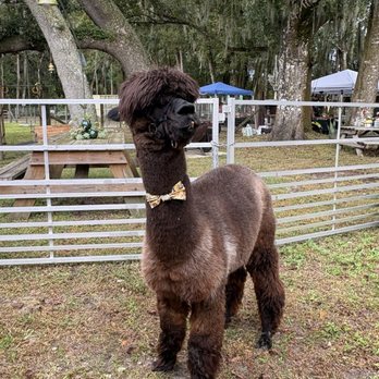 The Remedy Farm - Attraction Farms Near Me - San Antonio, Florida