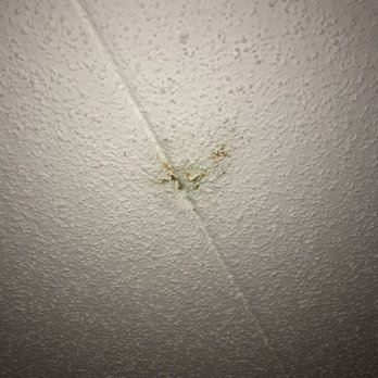 TA Baltimore - Weird chunky stains on the ceiling above the bed - Travel Services Near Me - Baltimore, Maryland