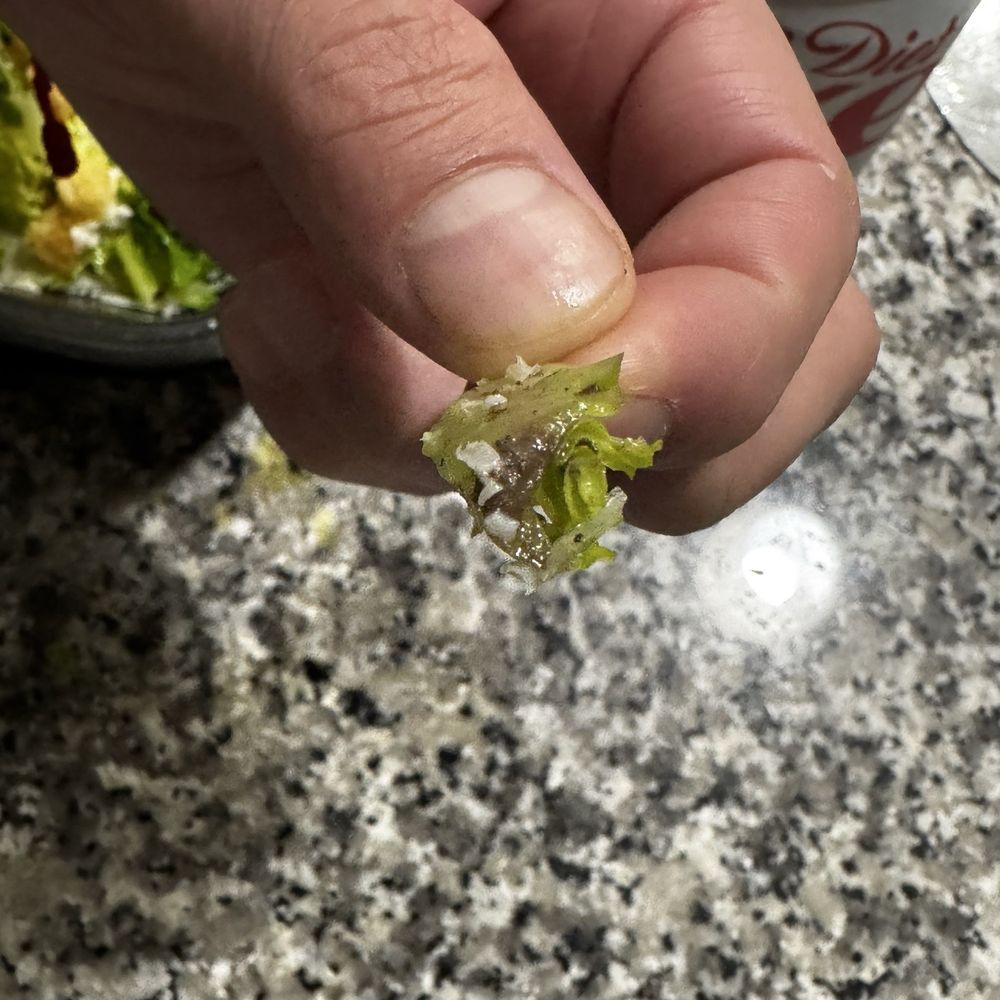 Tierra en la lechuga