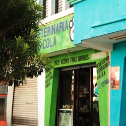 Veterinaria Escola