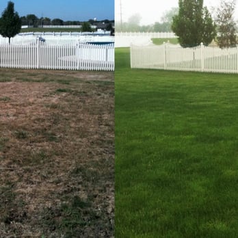 Lawn Doctor - Lawn Doctor's  Patented Power Seeding before and after photo. - Pest Control Near Me - Dubuque, Iowa