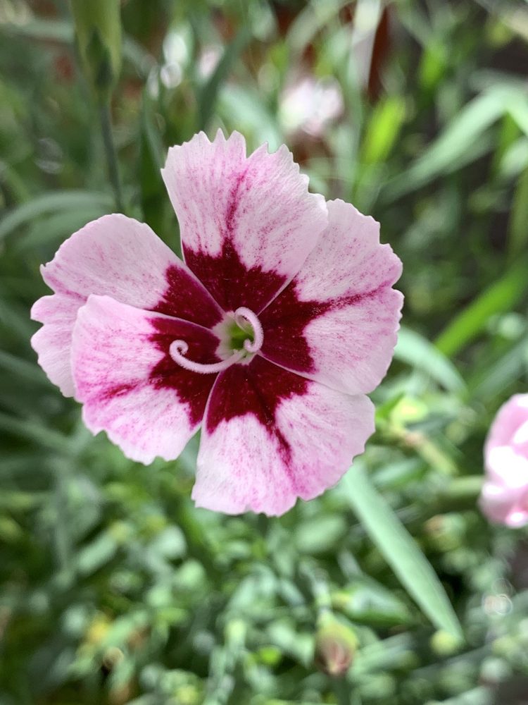 LOCKWOOD’S GREENHOUSES Updated October 2024 17 Photos & 14 Reviews