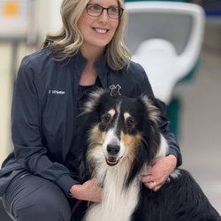 Shelby Center Hospital for Animals
