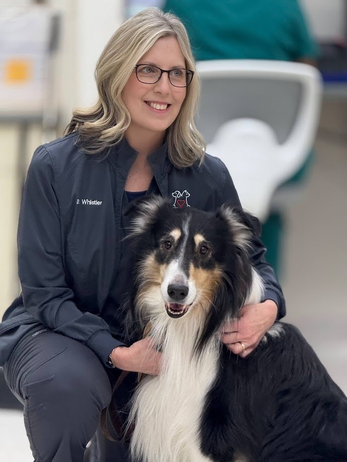 Shelby Center Hospital for Animals - pet boarding facility in Memphis, TN