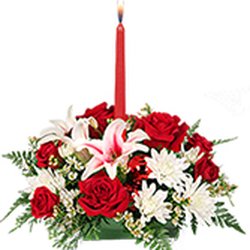 Budaful Flowers - DECK THE HALLS