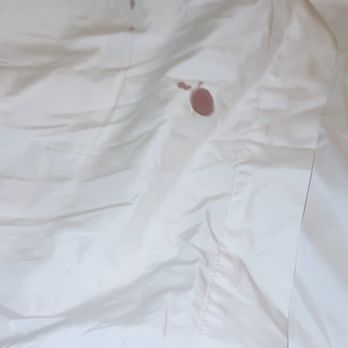 Comfort Suites Oceanside Camp Pendleton Area - Definitely period blood. - Hotels Near Me - Oceanside, California Comfort Suites Oceanside Camp Pendleton Area - Definitely period blood. - Hotels Near Me - Oceanside, California