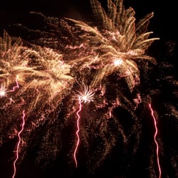 Pyronale 2008