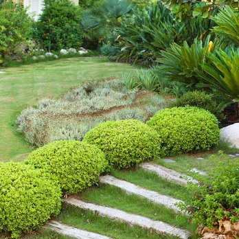 Central Wisconsin Tree Service - Tree Services in Oshkosh, WI - Tree Services Near Me - Oshkosh, Wisconsin Central Wisconsin Tree Service - Tree Services in Oshkosh, WI - Tree Services Near Me - Oshkosh, Wisconsin
