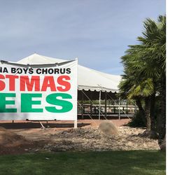 Tucson Boys Chorus Christmas Tree Lot