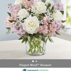 Plants and Things Florists - Images are of what was presented on 1-800-flowers site vs what was delivered.