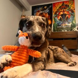 Redemption Paws