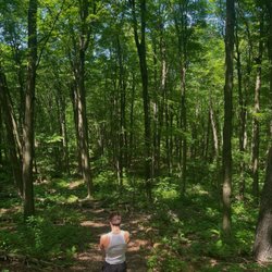 North Maple Regional Park - Little hidden forest area