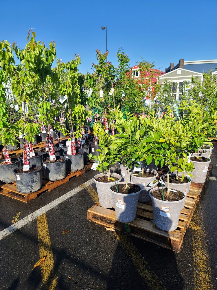 The Home Depot, Grants Pass | Roadtrippers