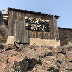 Shoshone Bird Museum of Natural History