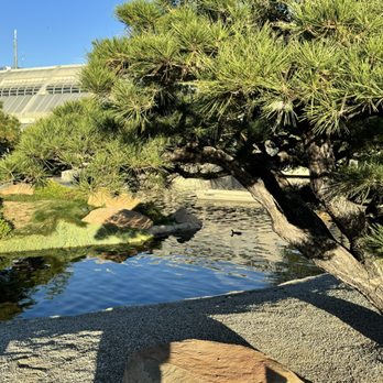 The Japanese Garden - Landscape - Botanical Gardens Near Me - Van Nuys, California