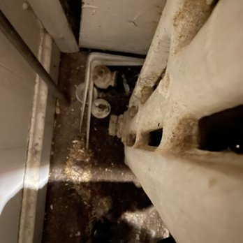 Peak Properties - Maintenance guy disconnected the radiator pulled the panel left never came back water started shooting out the valve mold & mildew - Property Management Near Me - Chicago, Illinois Peak Properties - Maintenance guy disconnected the radiator pulled the panel left never came back water started shooting out the valve mold & mildew - Property Management Near Me - Chicago, Illinois