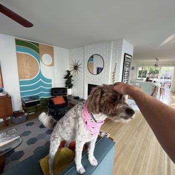 Posh Pooch - Pet Groomers Near Me - Seal Beach, California Posh Pooch - Pet Groomers Near Me - Seal Beach, California