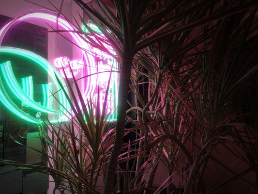Spicy Moon West Village by null