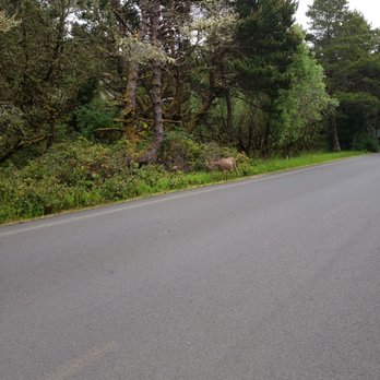 Nehalem Bay State Park - Campgrounds Near Me - Nehalem, Oregon Nehalem Bay State Park - Campgrounds Near Me - Nehalem, Oregon