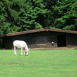 Wildpark Bad Marienberg