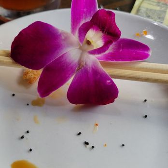 Andaman Asian Cuisine - Orchid - Thai Near Me - St. Augustine, Florida Andaman Asian Cuisine - Orchid - Thai Near Me - St. Augustine, Florida