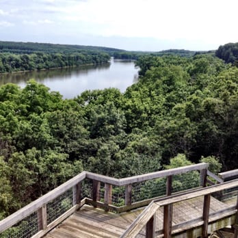 Castle Rock State Park - Overlook area - Parks Near Me - Oregon, Illinois