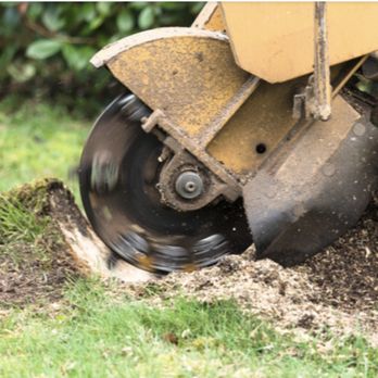 Menchhofer Tree Care - Tree Services Near Me - Danville, Indiana Menchhofer Tree Care - Tree Services Near Me - Danville, Indiana