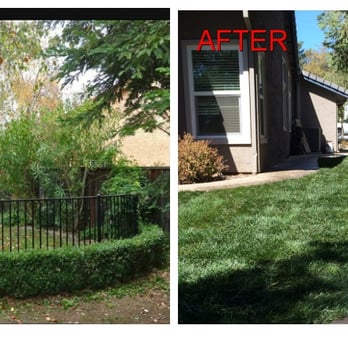 The Turf Man - Landscaping Near Me The Turf Man - Landscaping Near Me