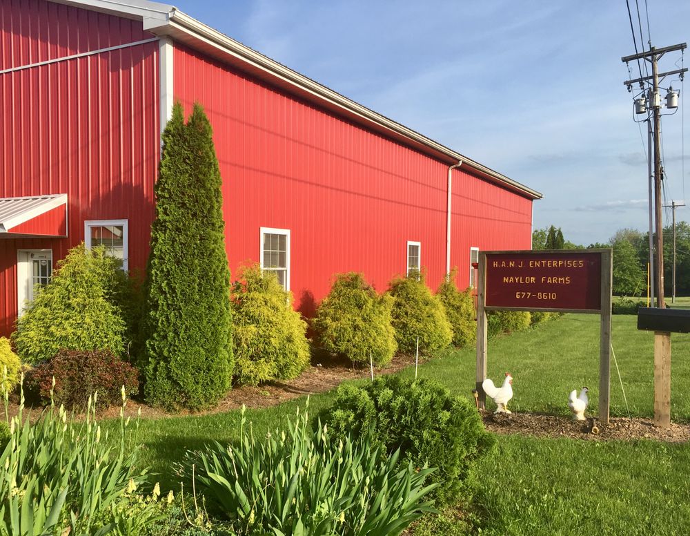 NAYLOR FARM Updated June 2024 17 Photos 155 Clear Spring Rd