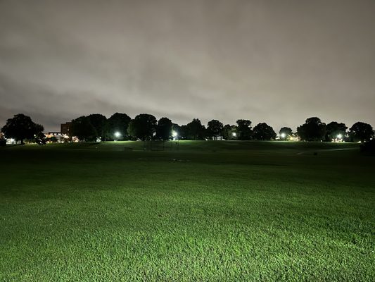 Patterson Park by null
