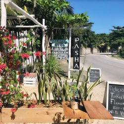 Pasha - Pasha is a perfect stop along the hotel zone road side