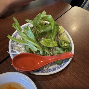 Noodle House - Pho Veggies - Vietnamese Near Me - Lauderdale Lakes, Florida Noodle House - Pho Veggies - Vietnamese Near Me - Lauderdale Lakes, Florida
