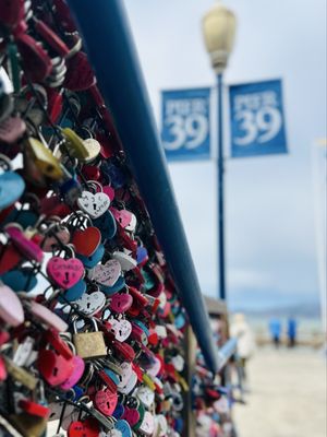 PIER 39 by null